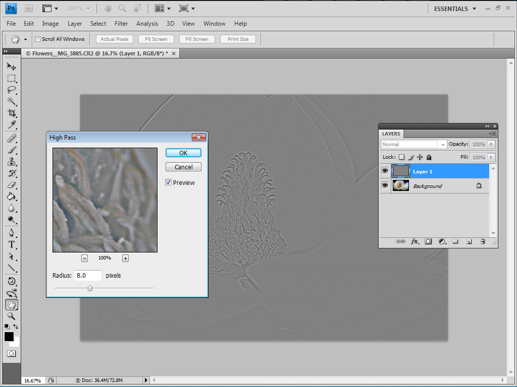 PRO_01 Sharpening details in Photoshop