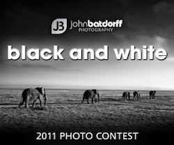 2011 Black and White Photo Contest