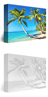 Photorealistic (No Added Technique)