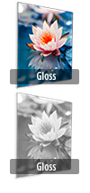 Gloss Finish
